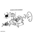 Blower and drive assembly