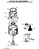 Agitator/tub and pump assembly