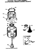 Agitator, tub and pump assembly