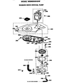 Washer drive system and pump