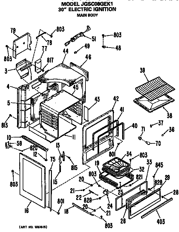 MAIN BODY