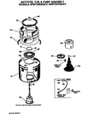 Agitator, tub and pump assembly