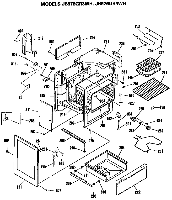 MAIN BODY