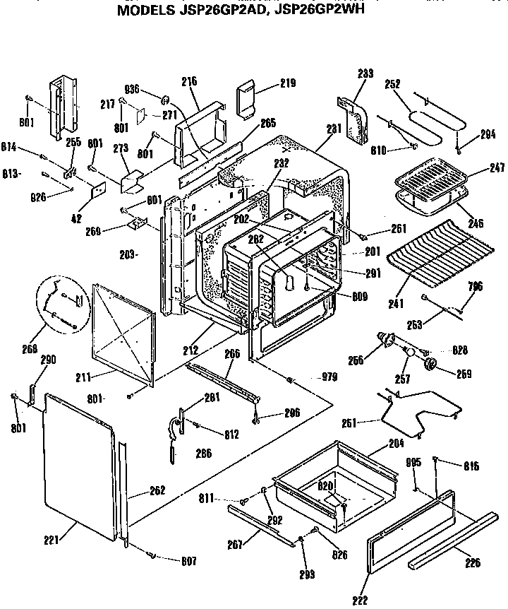 MAIN BODY