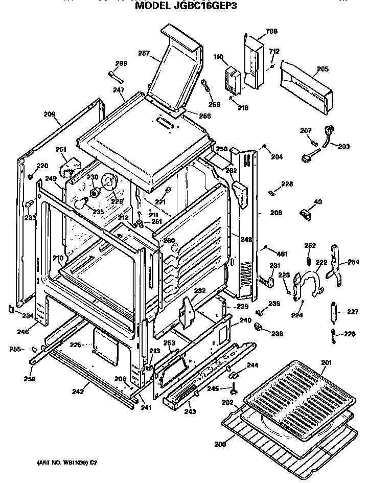 MAIN BODY