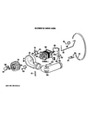 Blower and drive