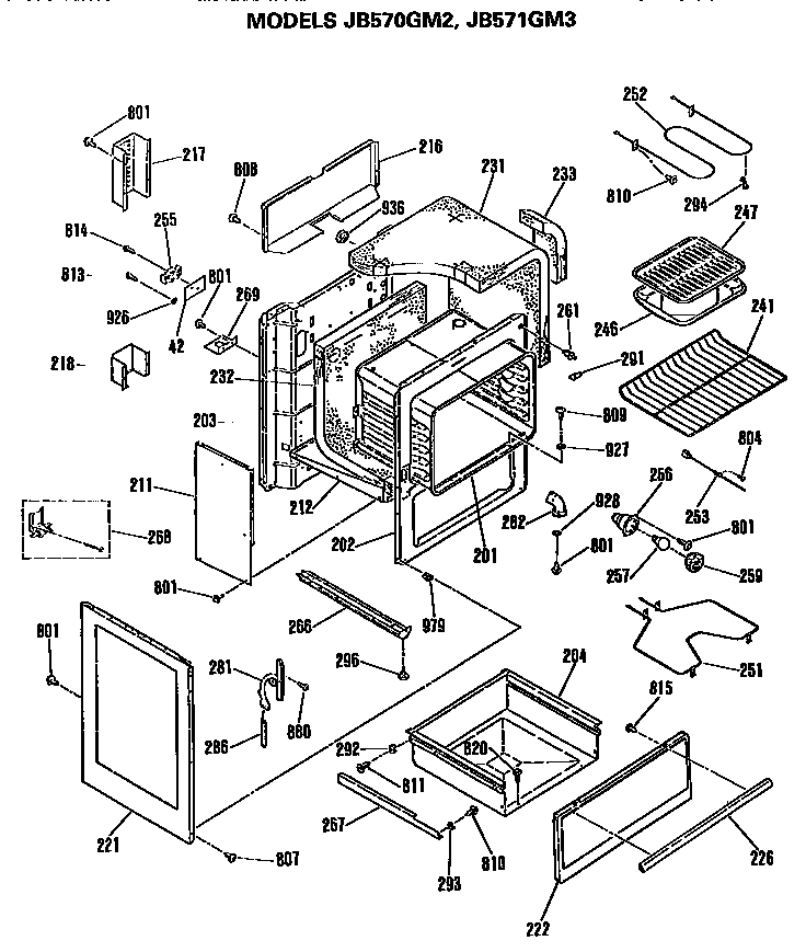 MAIN BODY