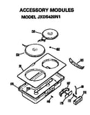 Accessory modules