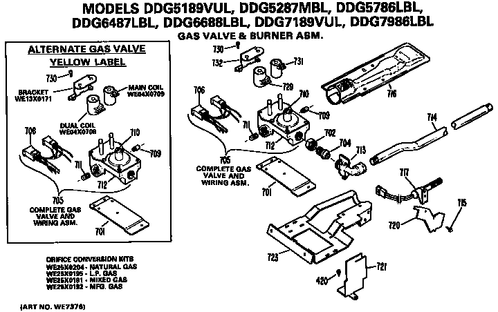 GAS VALVE AND BURNER ASSEMBLY