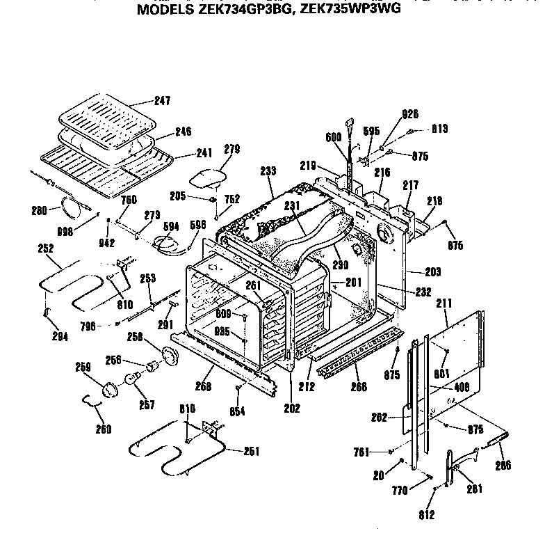 MAIN BODY