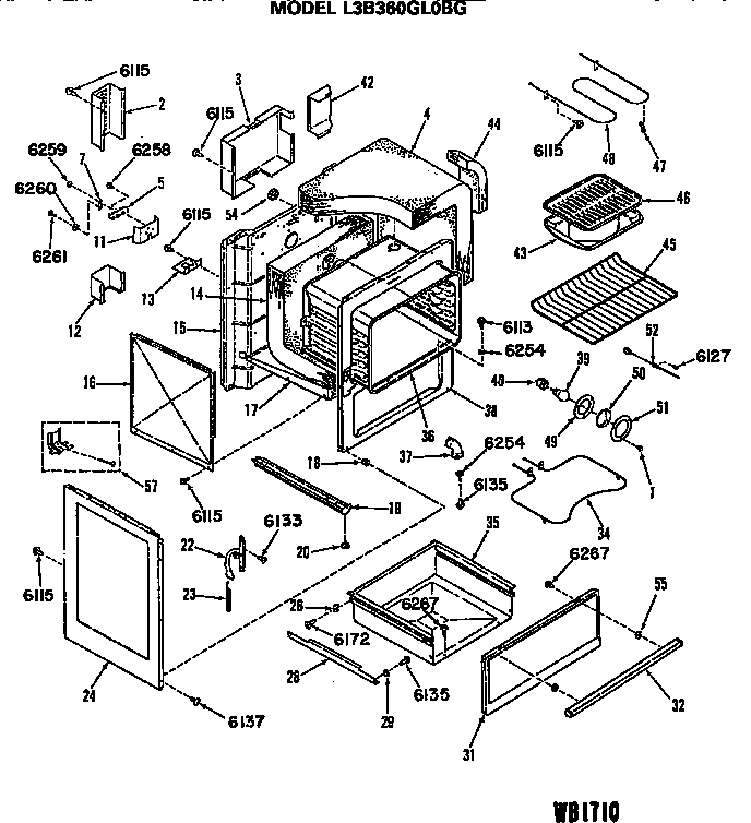 MAIN BODY