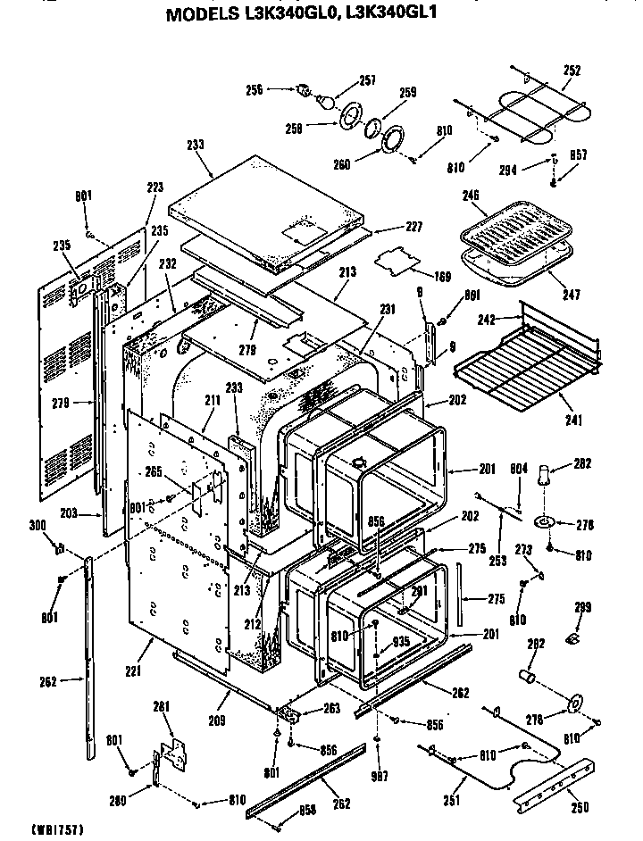 MAIN BODY