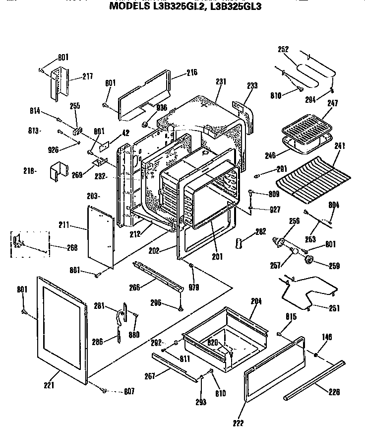 MAIN BODY