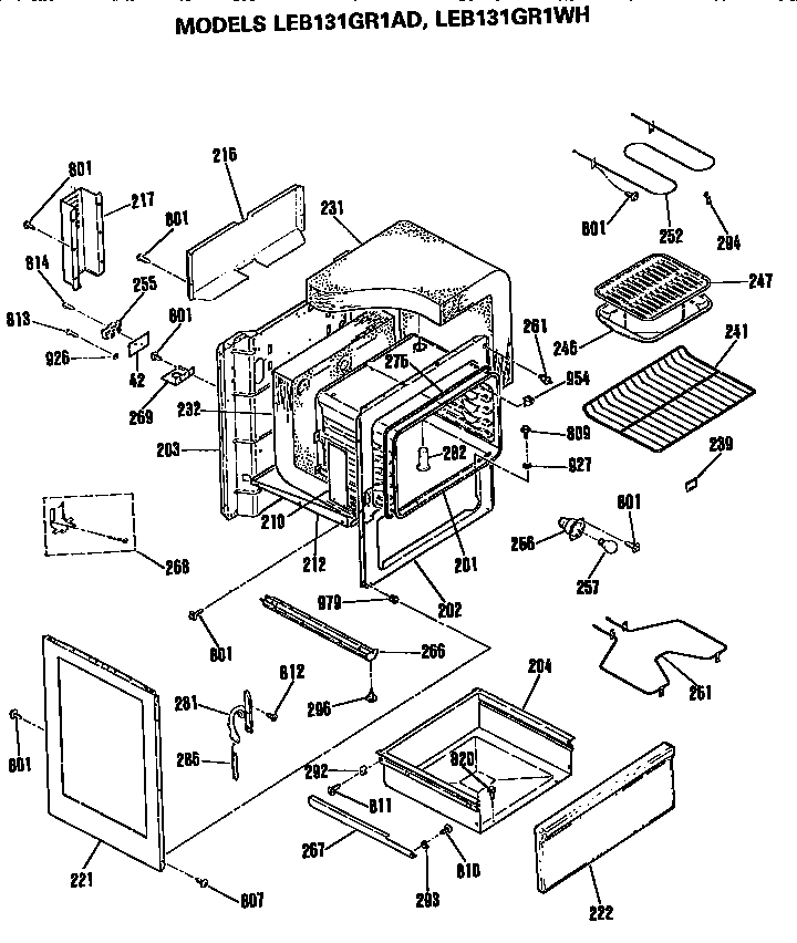 MAIN BODY