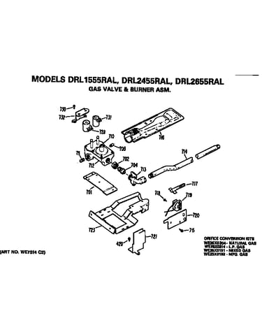 Gas valve and burner