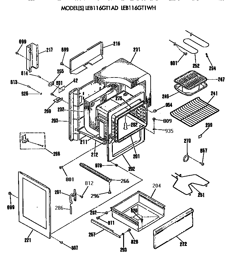 MAIN BODY