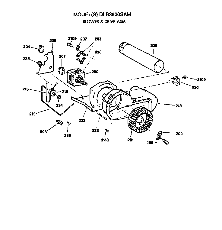 Blower and drive