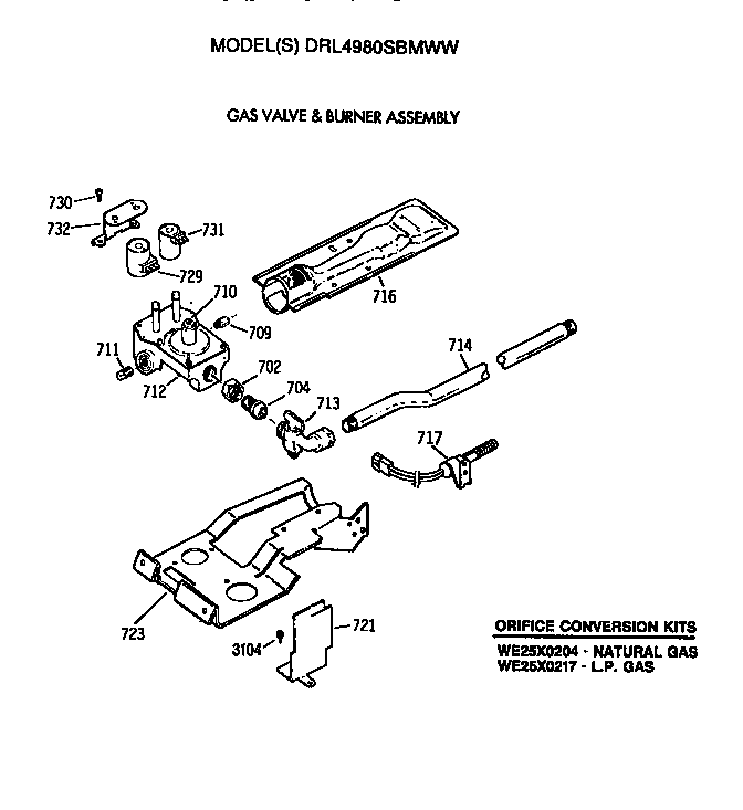 GAS VALVE AND BURNER