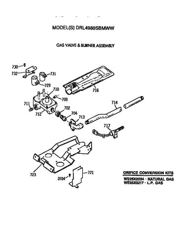 Gas valve and burner