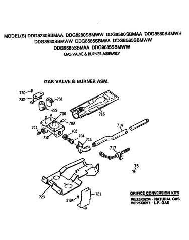 Gas valve and burner