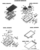 Accessory modules