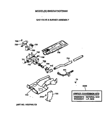 Gas valve & burner assembly