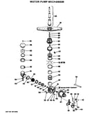 Motor-pump mechanism