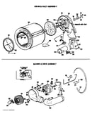 Alternate motor