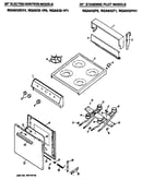 20" electric ignition models