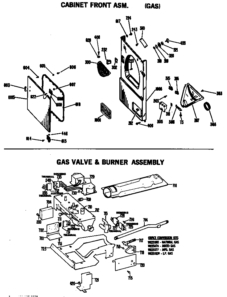 GAS VALVE & BURNER ASSEMBLY