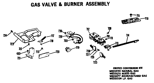 Gas valve & burner assembly