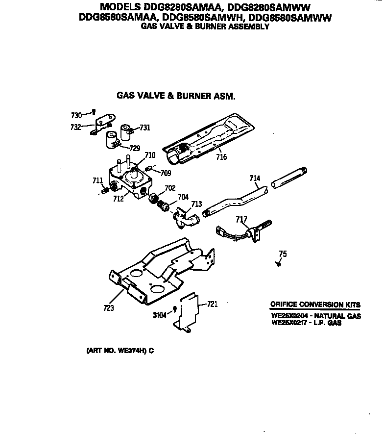 GAS VALVE & BURNER ASM.