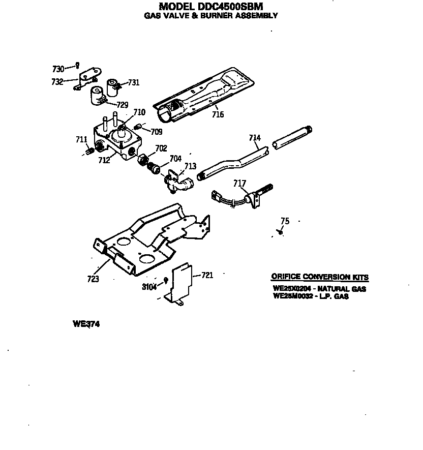 Gas valve & burner assembly