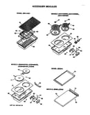 Accessory modules