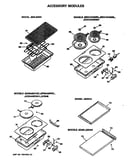 Accessory modules