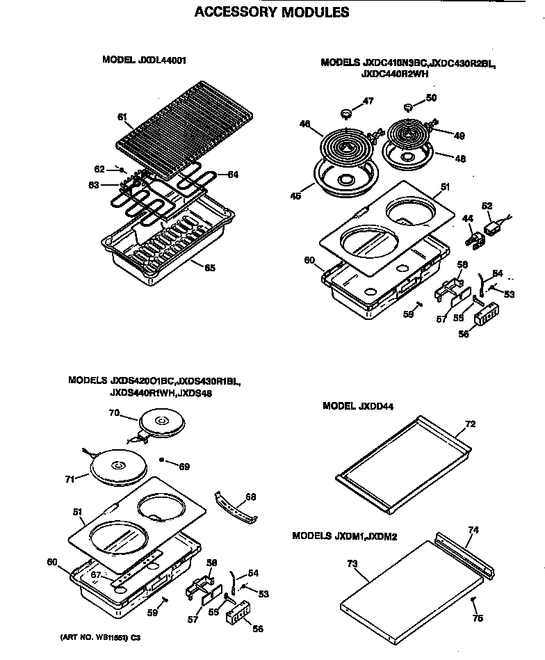 Accessory modules