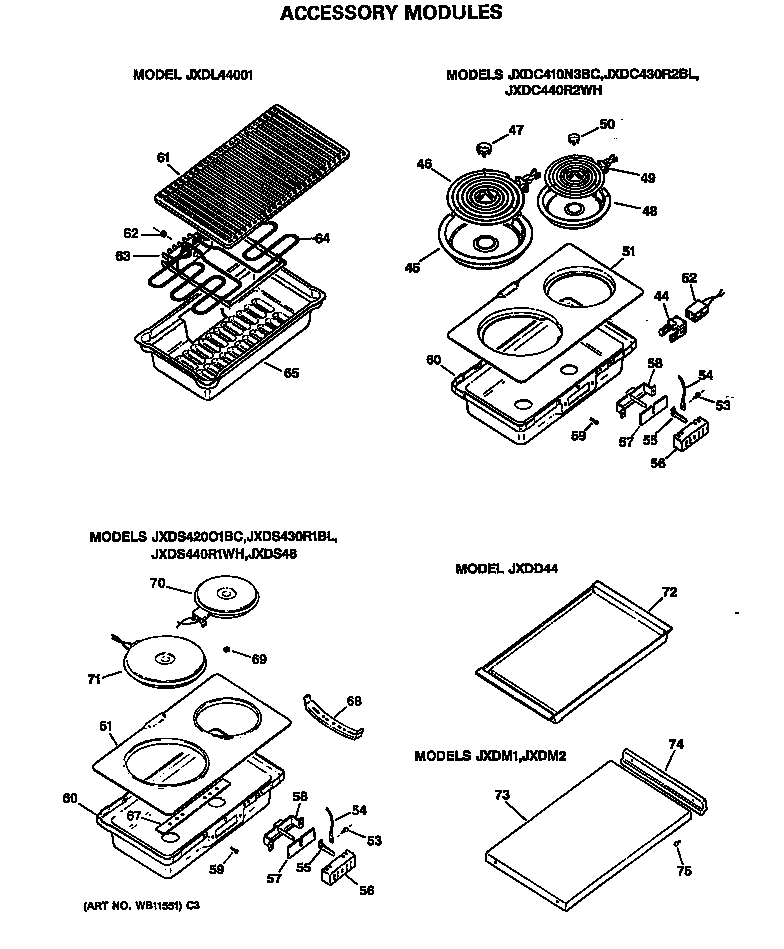 Accessory modules