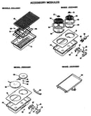Accessory modules