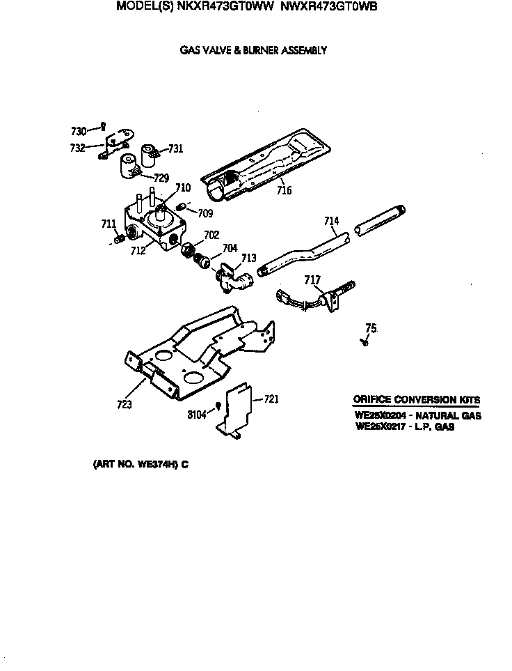 GAS VALVE & BURNER ASSEMBLY