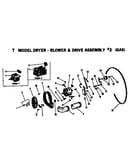 Blower and drive assembly