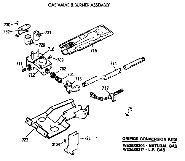 Gas valve & burner assembly