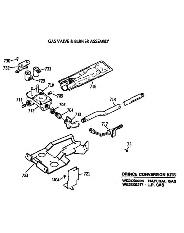 Gas valve & burner assembly