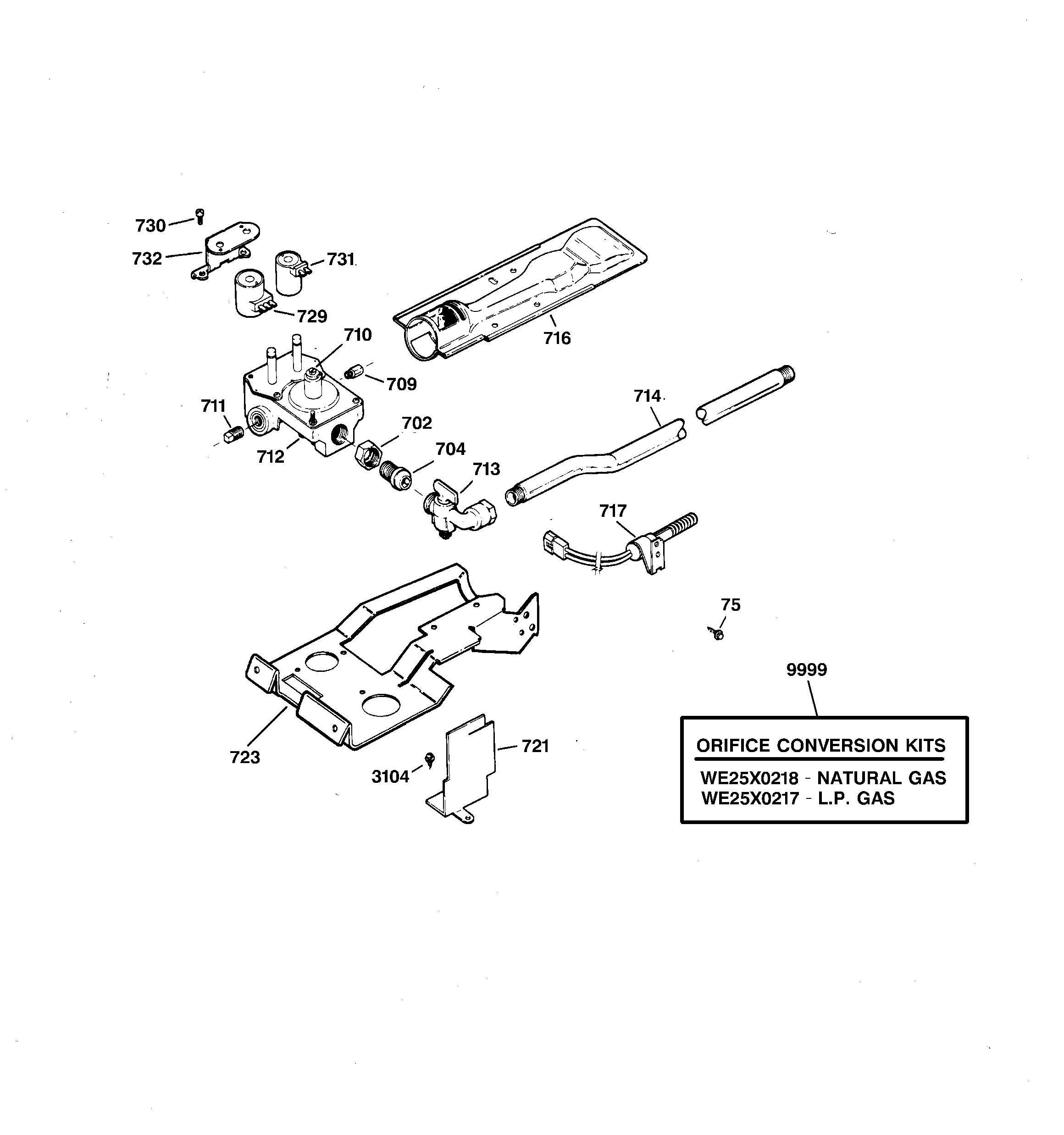 Gas valve & burner assembly
