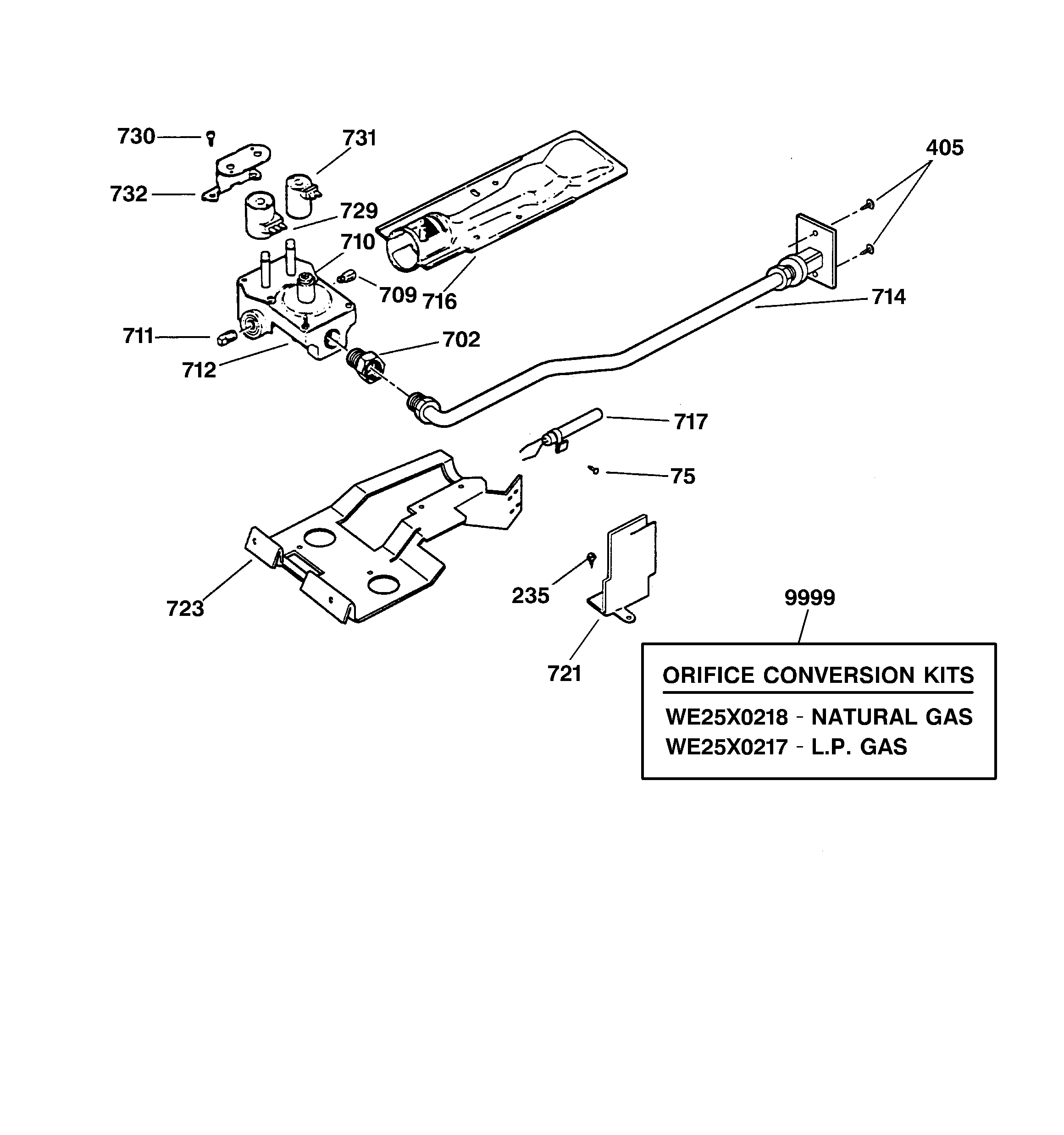 GAS VALVE & BURNER ASSEMBLY