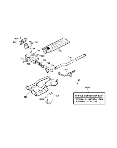 Gas valve & burner assembly