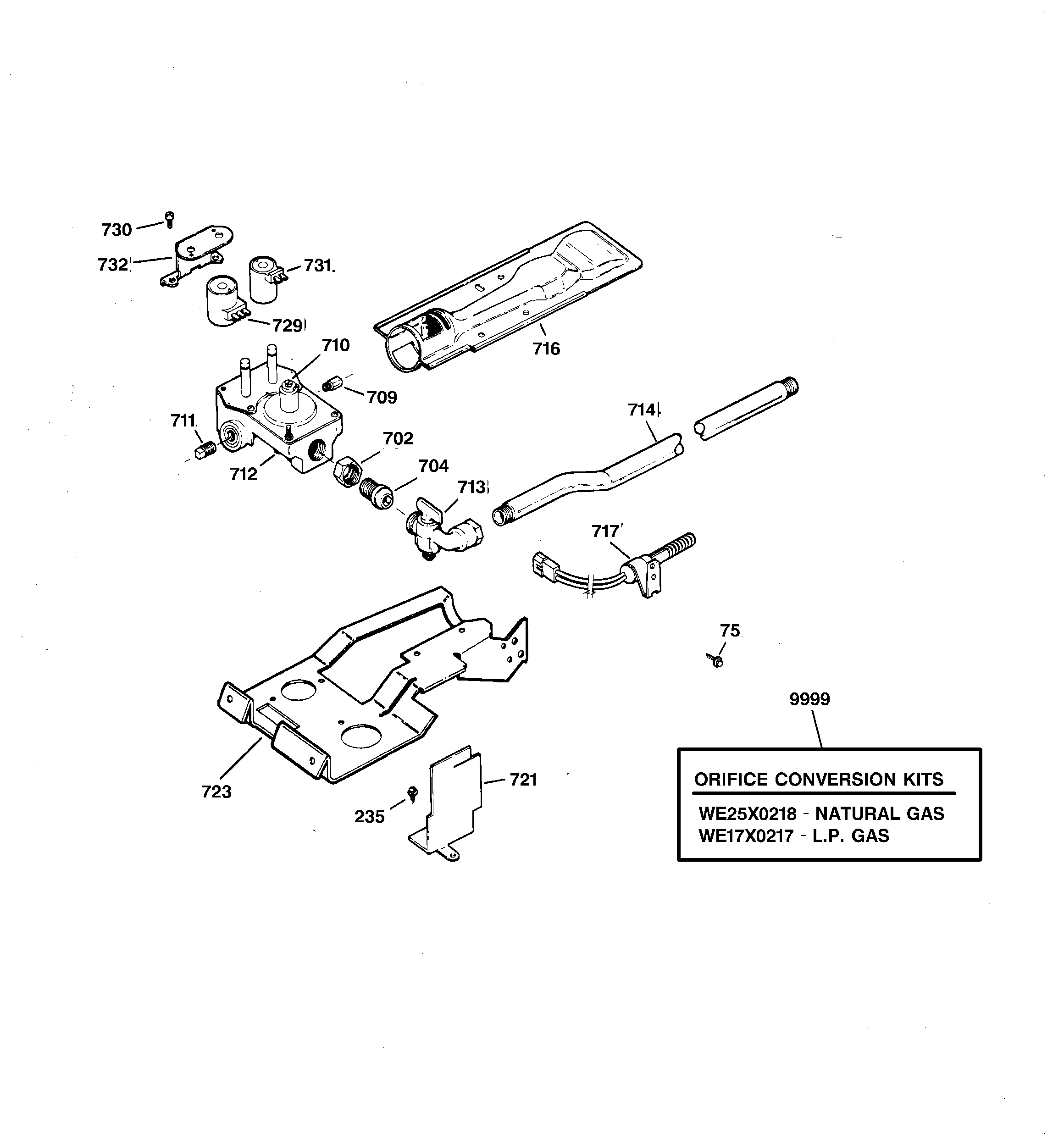 GAS VALVE & BURNER ASSEMBLY