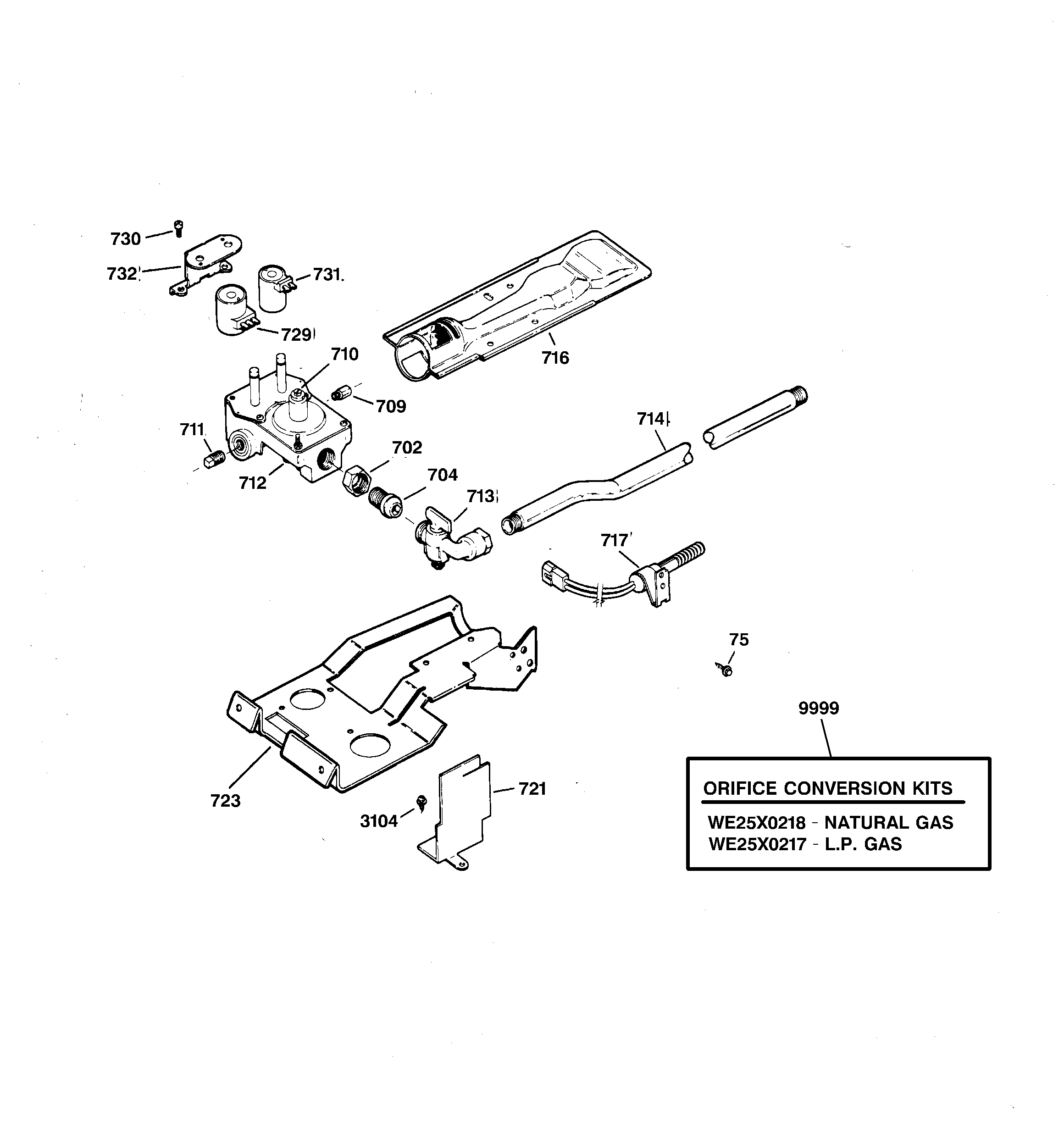 Gas valve & burner assembly