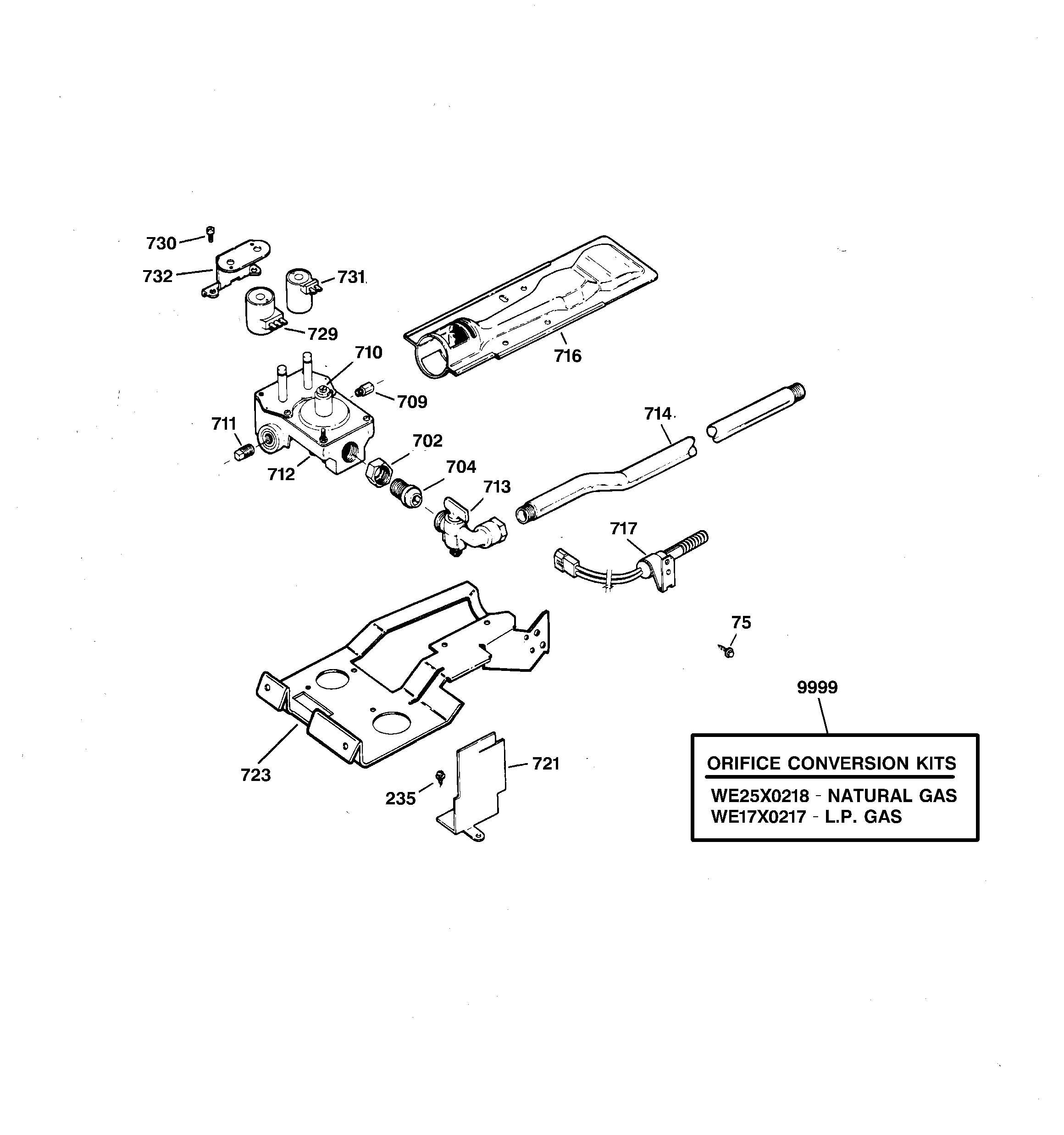 Gas valve & burner assembly