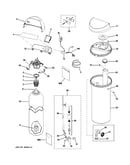 Body parts