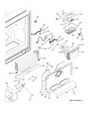 Freezer section